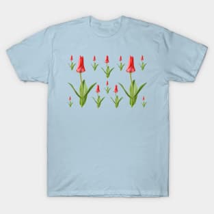 Tulipa  &#39;Marquis de la Coquette&#39;    Greigii Group Tulip T-Shirt